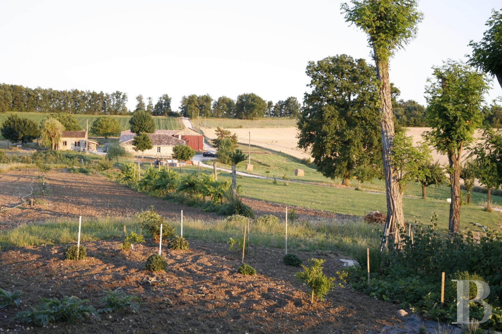A Romanesque chapel in a hamlet lined with fields and orchards to the north of Agen - photo  n°6