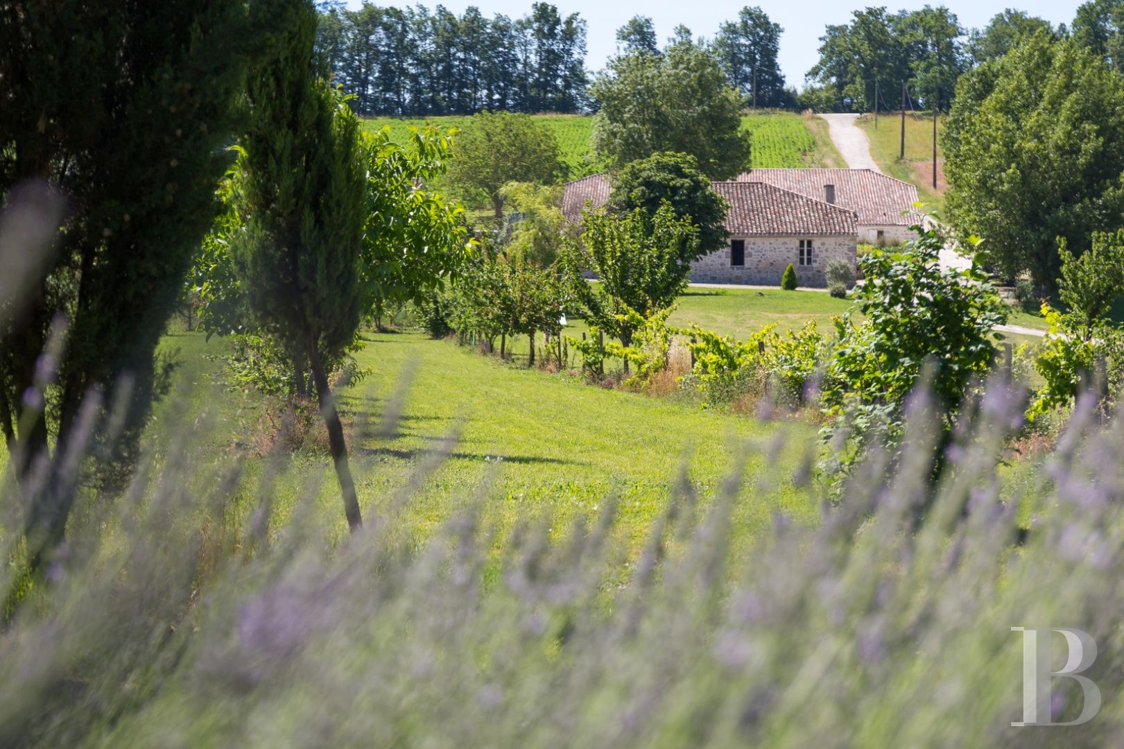 A Romanesque chapel in a hamlet lined with fields and orchards to the north of Agen - photo  n°7