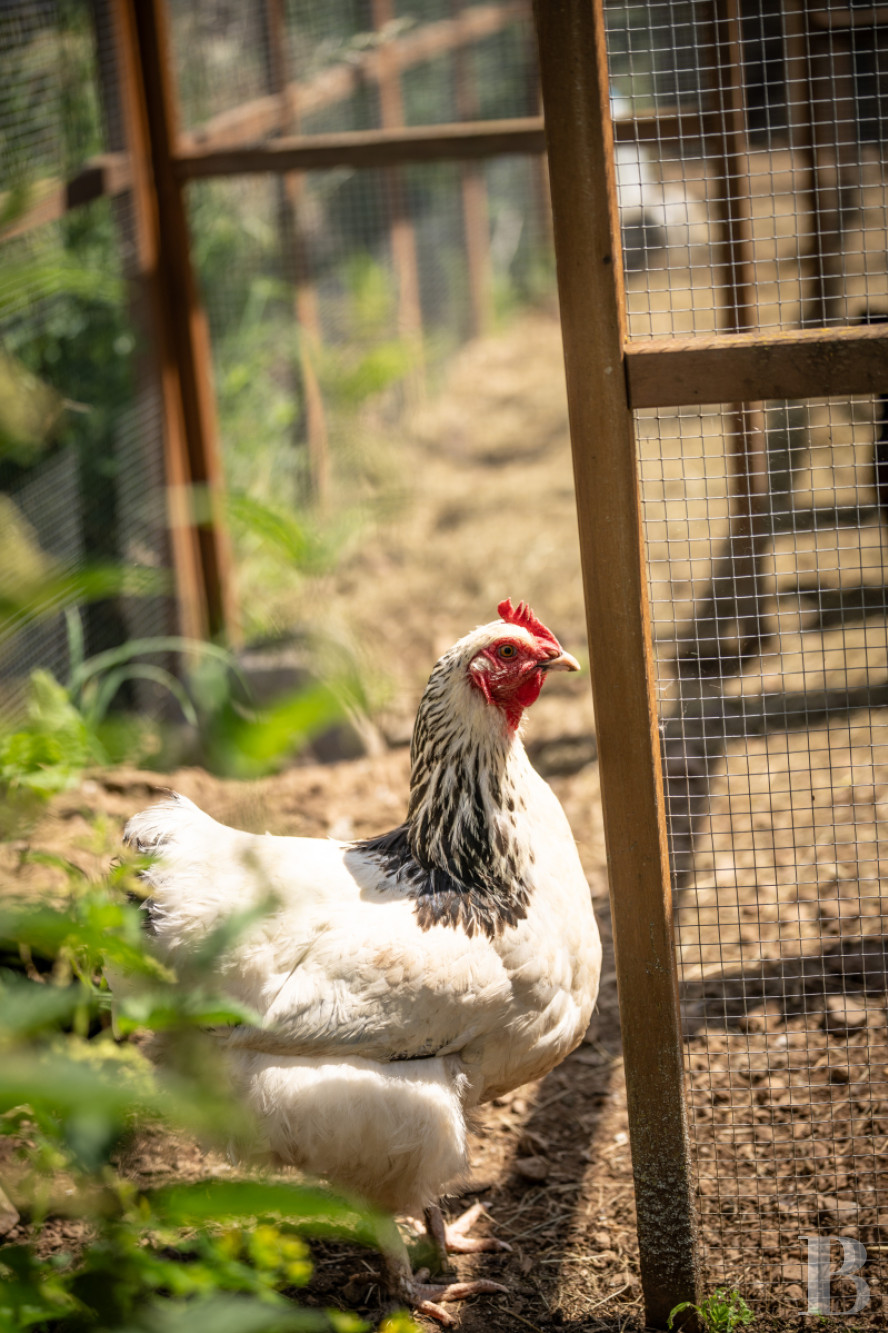 A former farm dedicated to well-being on the Via Averna, to the north of the Aubrac lands - photo  n°7