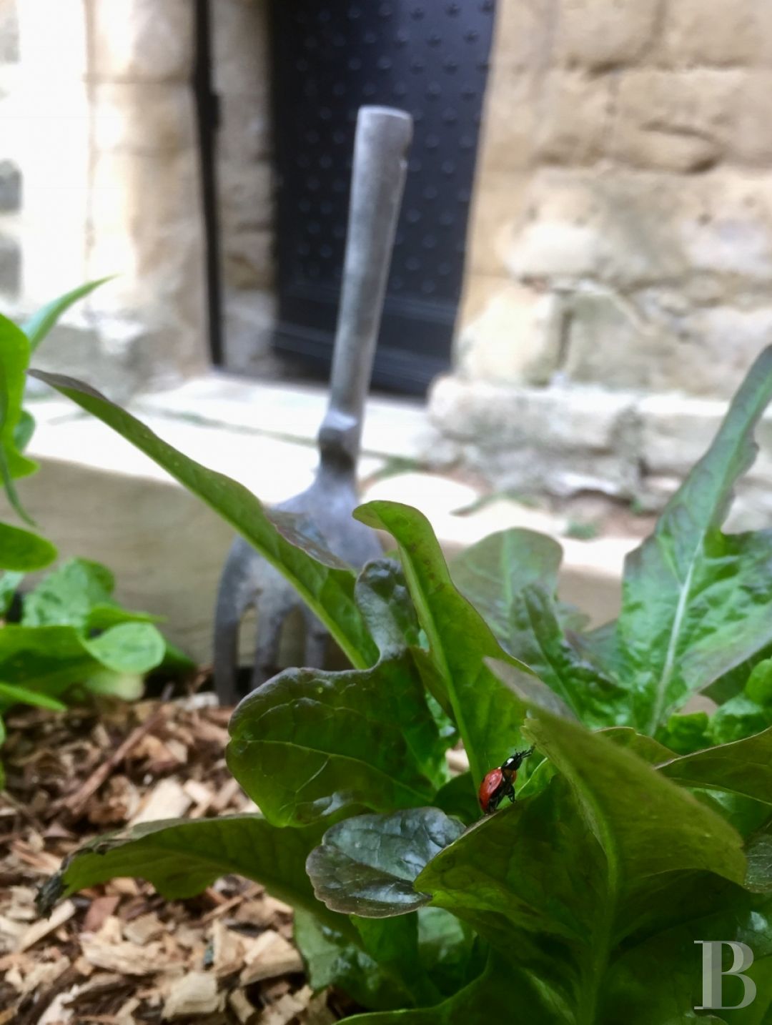 A thousand-year-old tower with a contemporary feel in the heart of Gard, not far from Uzès - photo  n°7