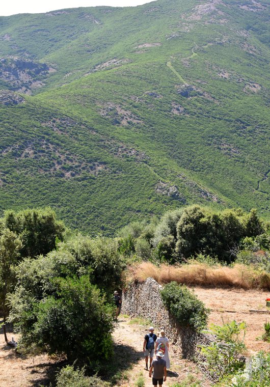 Au nord du Cap Corse, un « palazzu » d’inspiration italienne avec la mer pour horizon - photo  n°30