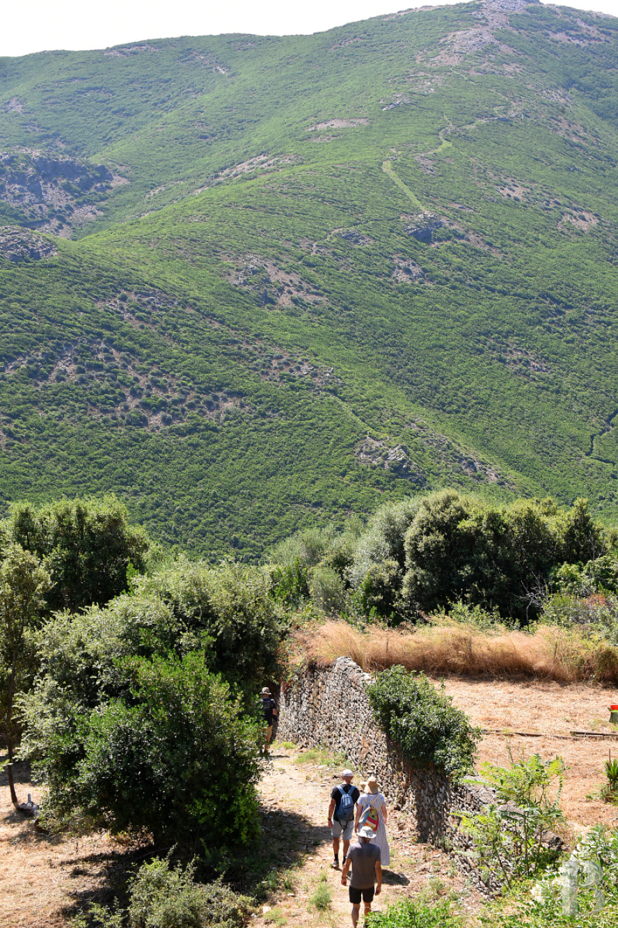 Au nord du Cap Corse, un « palazzu » d’inspiration italienne avec la mer pour horizon - photo  n°30