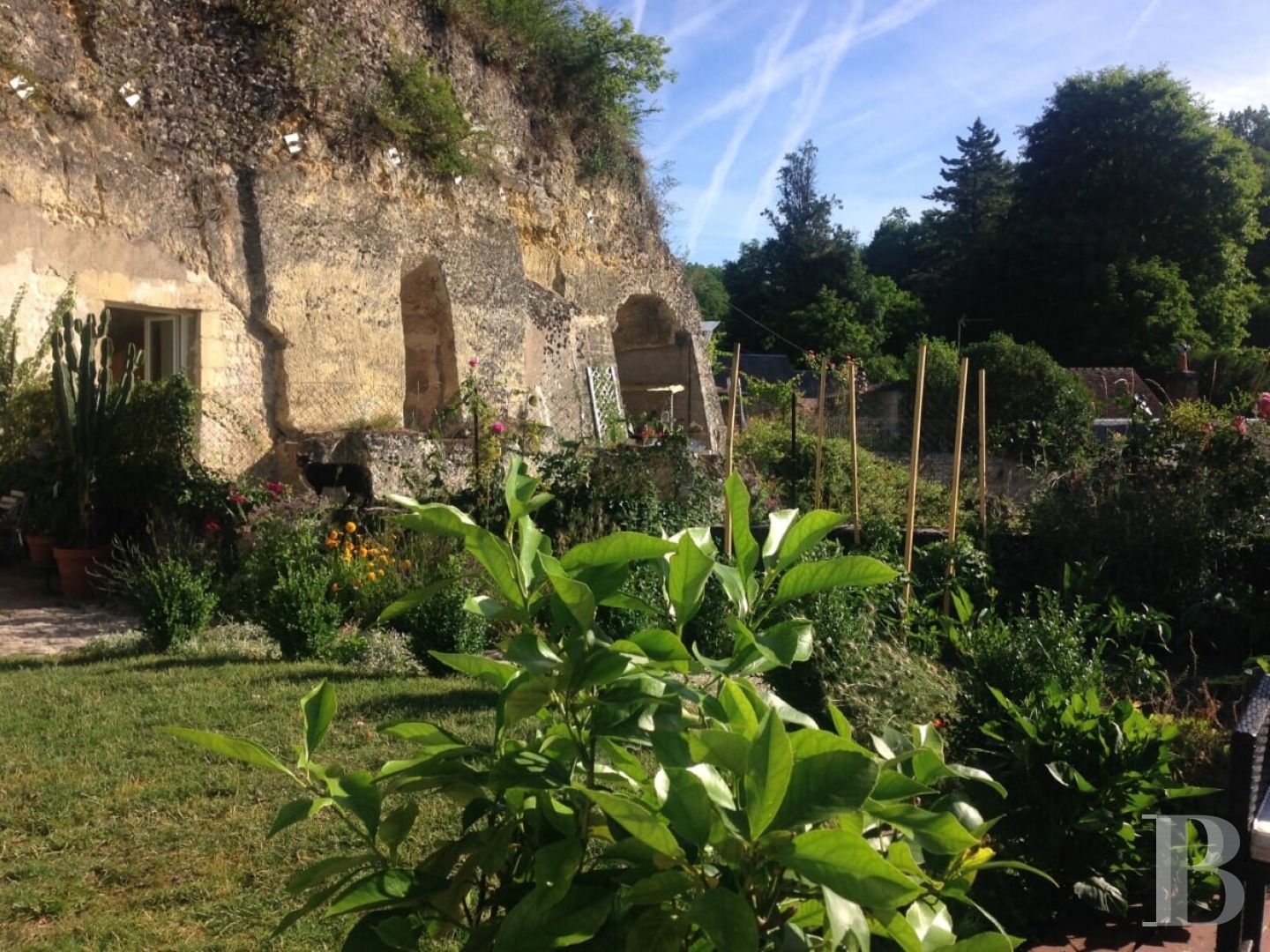 A troglodyte house full of comfort and light in the Val de Loire across from Amboise  - photo  n°3