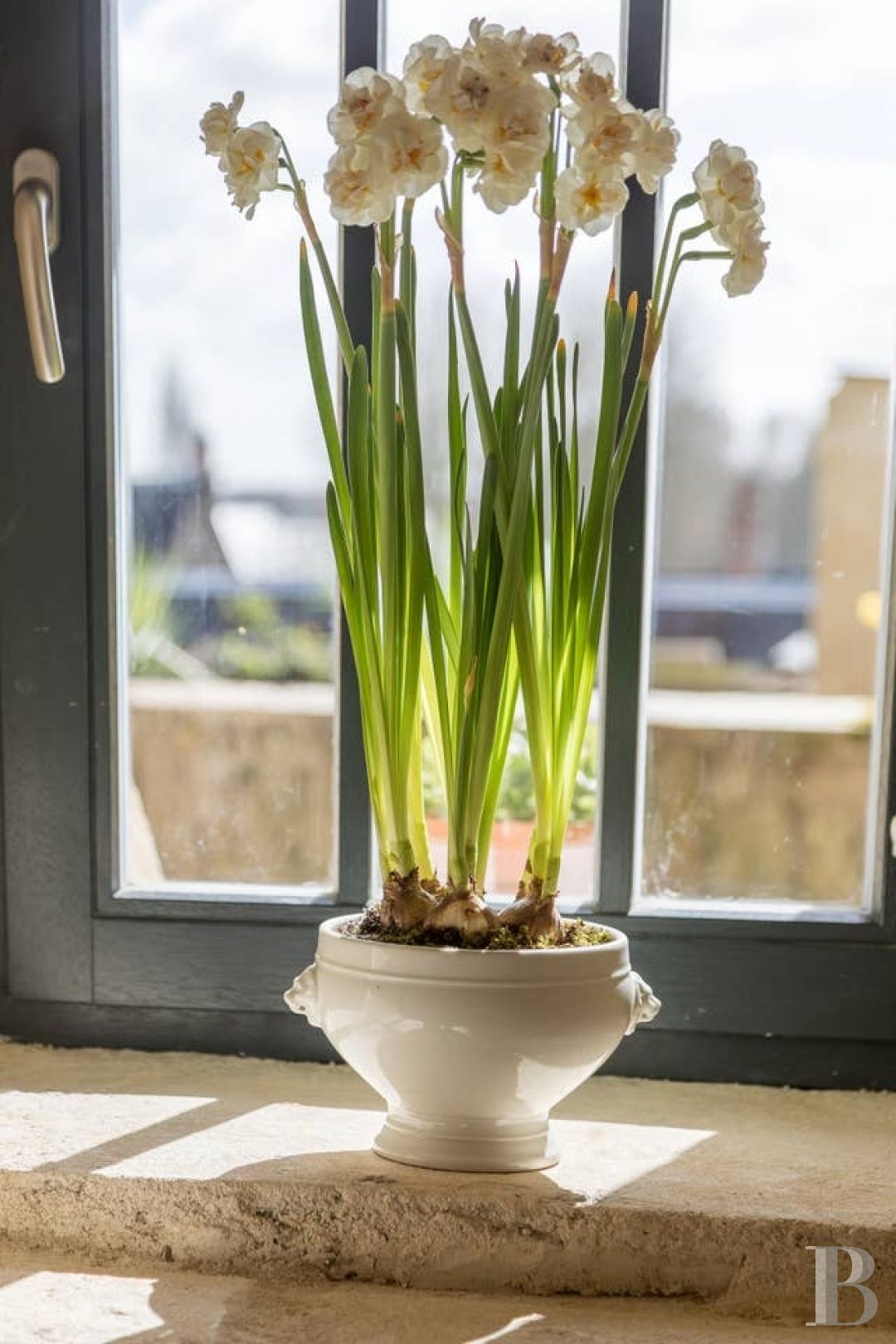 A troglodyte house full of comfort and light in the Val de Loire across from Amboise  - photo  n°5