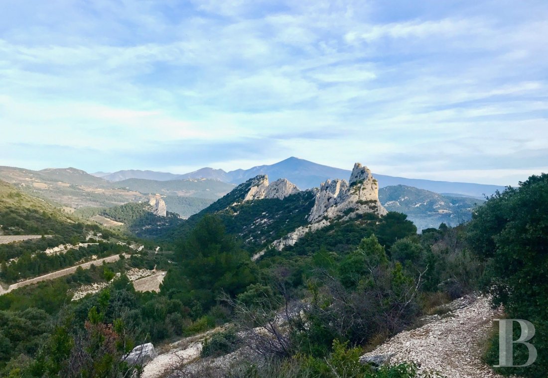 Dans le Vaucluse, au sud-est de Cairanne, une maison dédiée à la villégiature au cœur d’un domaine viticole  - photo  n°36