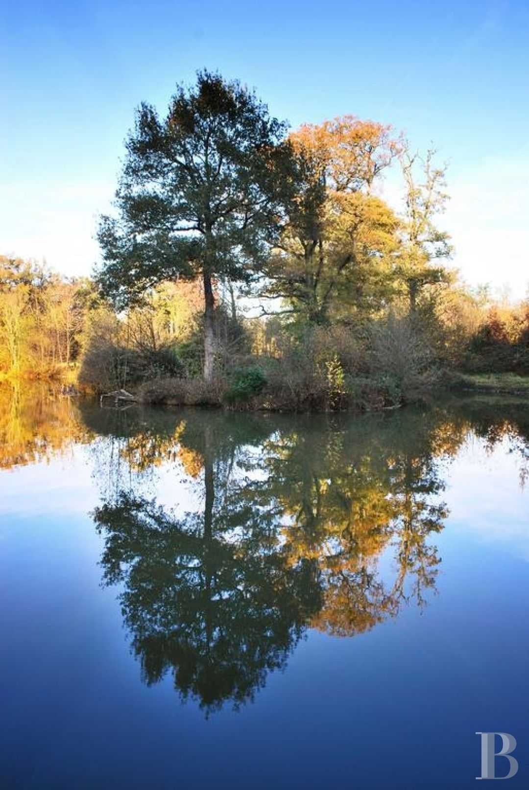 Entre Angers et Cholet, un château de famille entouré de ses terres - photo  n°3