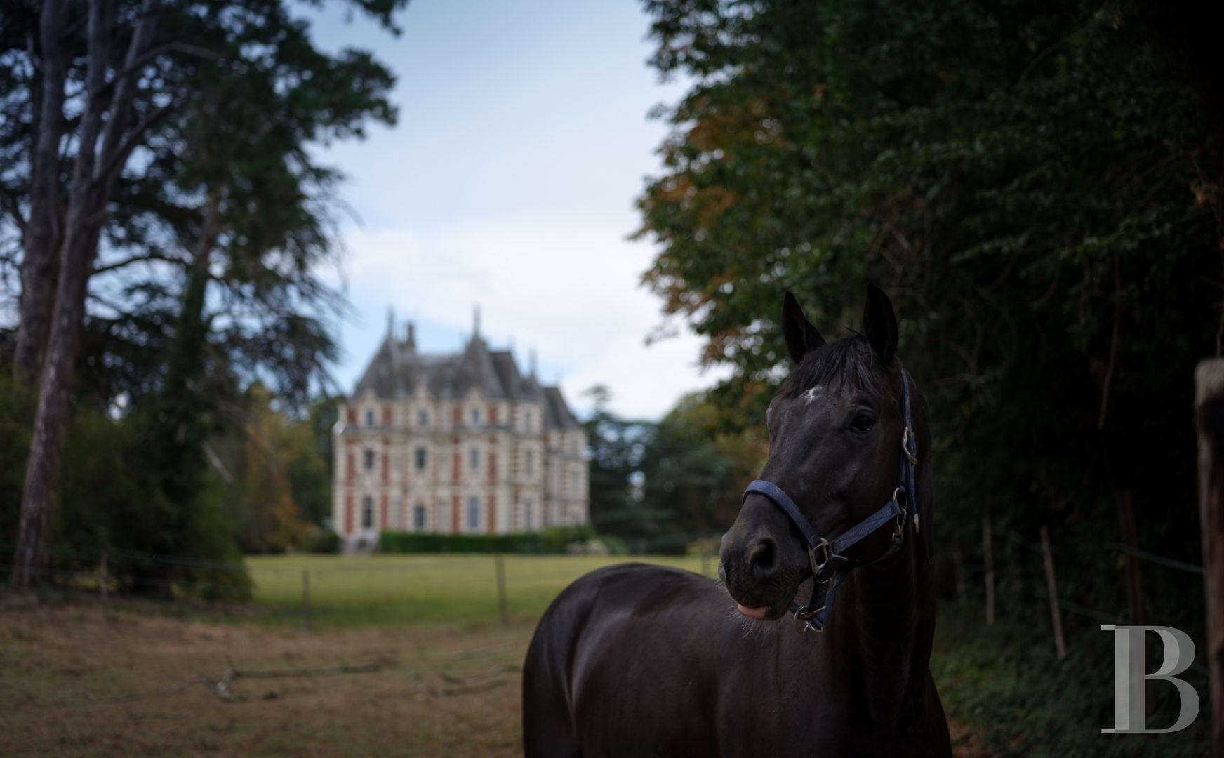 Entre Angers et Cholet, un château de famille entouré de ses terres - photo  n°6