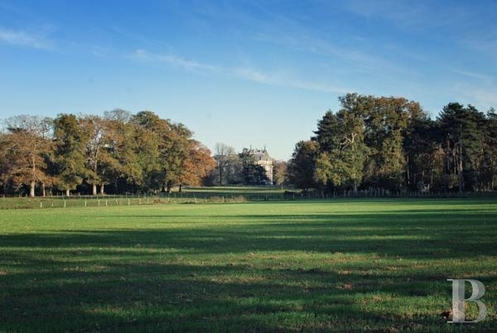 Entre Angers et Cholet, un château de famille entouré de ses terres - photo  n°21