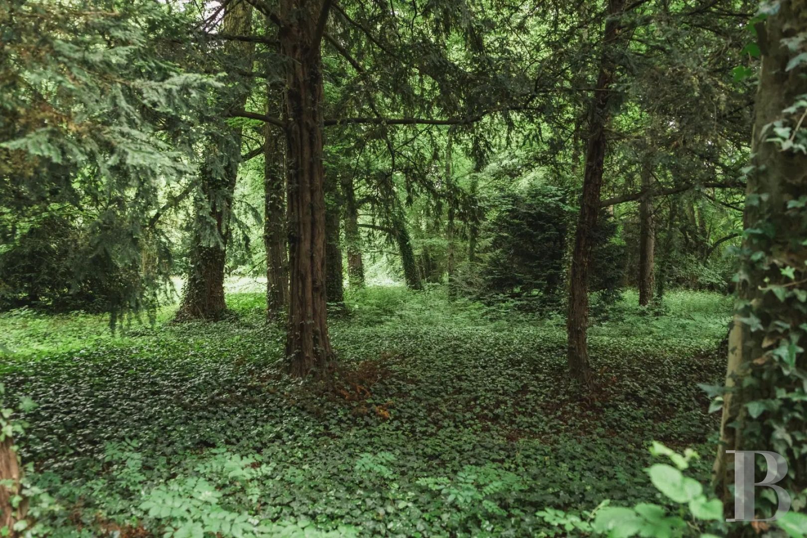 Au sud d’Auxerre, au bord de l’Yonne, un domaine du 18e s.  ouvert à toutes les villégiatures - photo  n°25