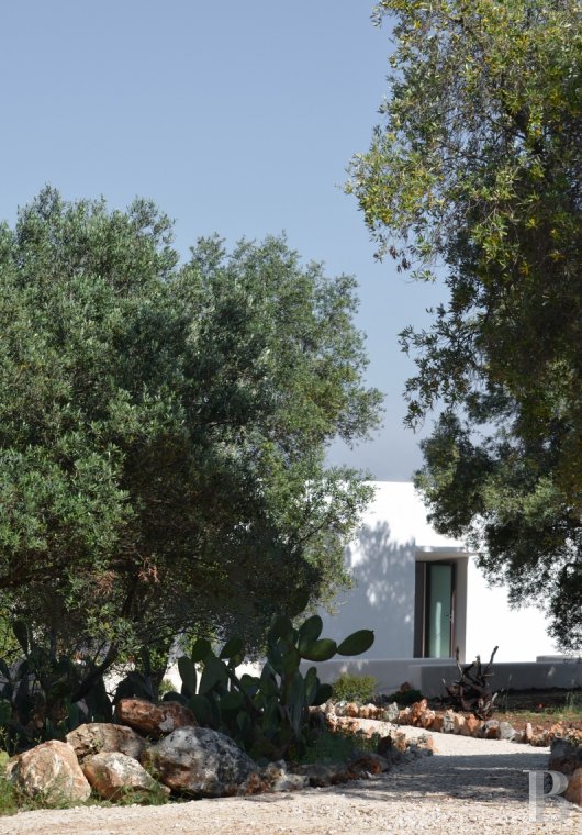 The Casa di Monti, between two seas and a field of ancient olive trees, perfect for holidays in Puglia in Southern Italy  - photo  n°2
