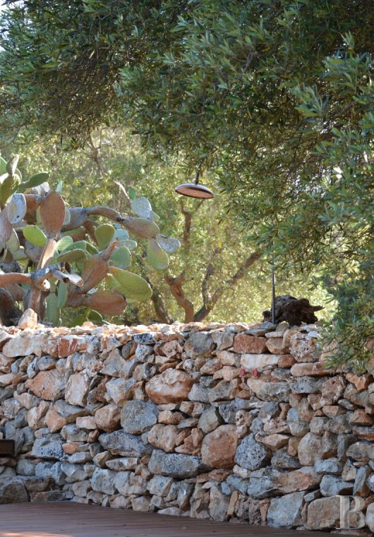 The Casa di Monti, between two seas and a field of ancient olive trees, perfect for holidays in Puglia in Southern Italy  - photo  n°29
