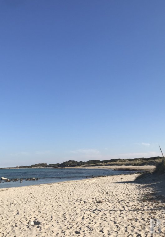 The Casa di Monti, between two seas and a field of ancient olive trees, perfect for holidays in Puglia in Southern Italy  - photo  n°41