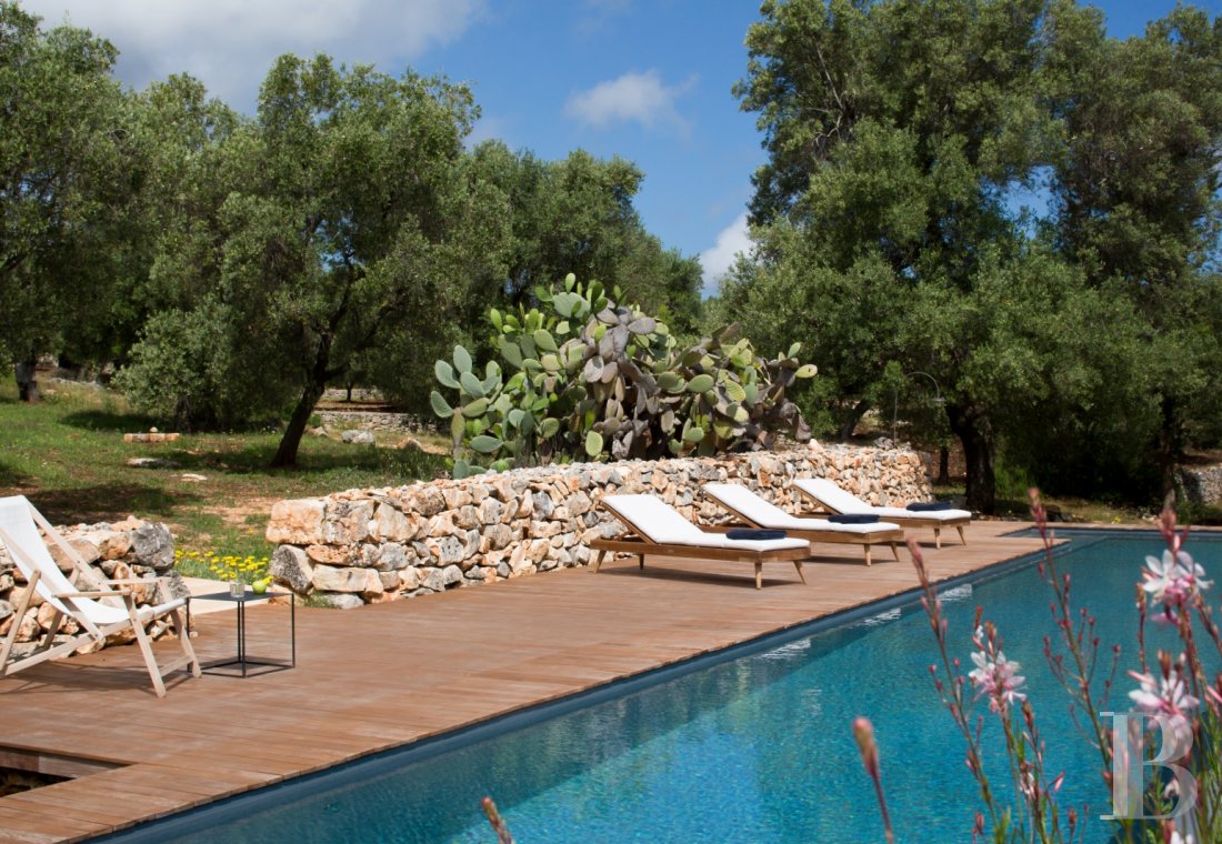 The Casa di Monti, between two seas and a field of ancient olive trees, perfect for holidays in Puglia in Southern Italy  - photo  n°16