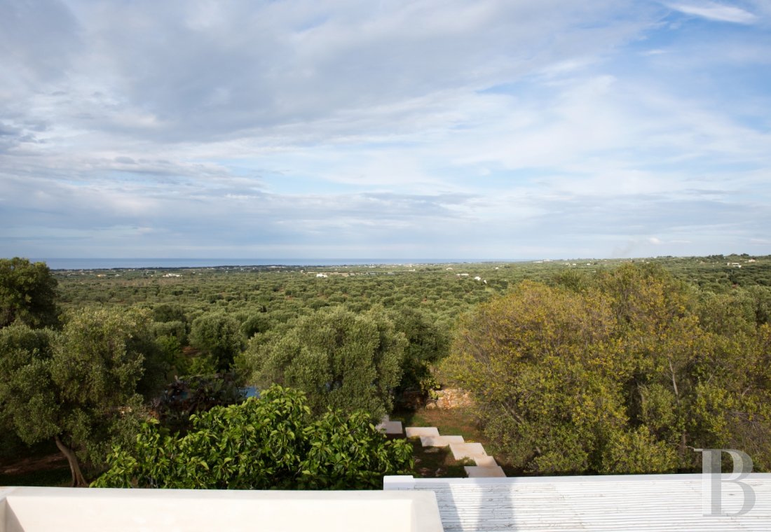 The Casa di Monti, between two seas and a field of ancient olive trees, perfect for holidays in Puglia in Southern Italy  - photo  n°31