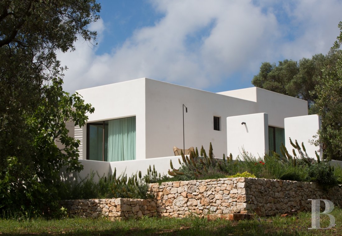 The Casa di Monti, between two seas and a field of ancient olive trees, perfect for holidays in Puglia in Southern Italy  - photo  n°4