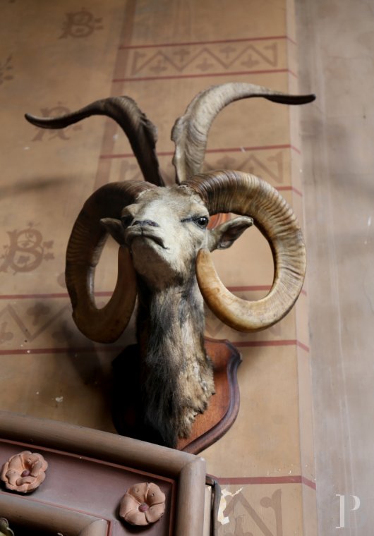 The Rosa Bonheur chateau filled with memories of the artist  at the edge of the Fontainebleau forest  - photo  n°24