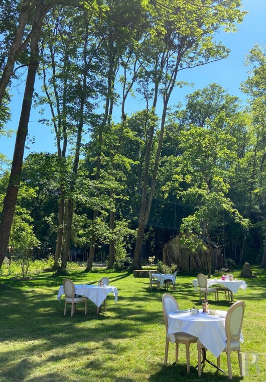 The Rosa Bonheur chateau filled with memories of the artist  at the edge of the Fontainebleau forest  - photo  n°2