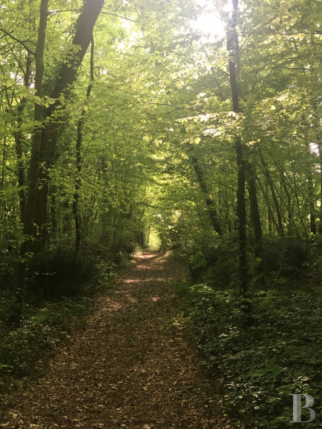 En lisière de la forêt de Fontainebleau,  le château de Rosa Bonheur empli du souvenir de l’artiste - photo  n°2