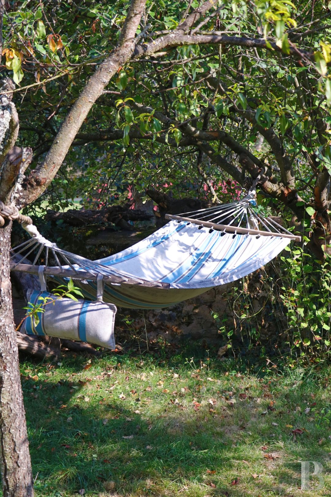 A village house overlooking the Gorges de l'Allier in Haute-Loire - photo  n°30
