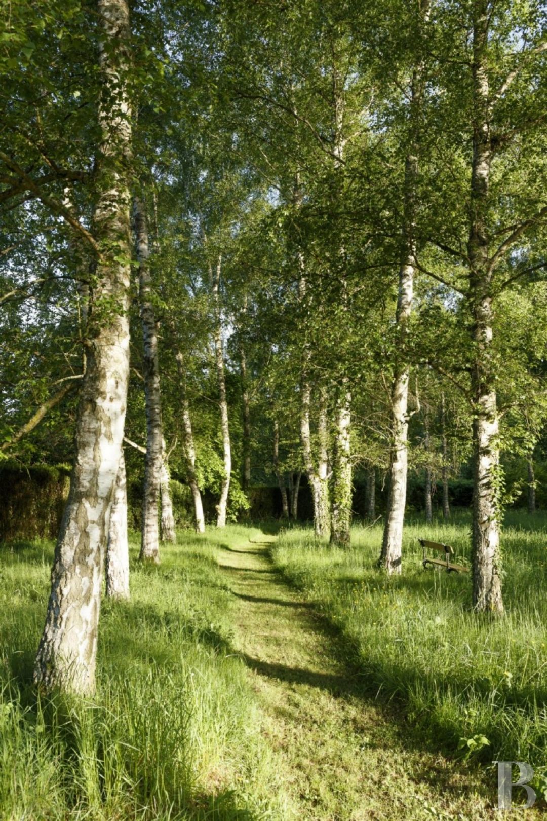 En Gâtinais, non loin de Paris, une maison de village blottie contre son grand jardin - photo  n°2