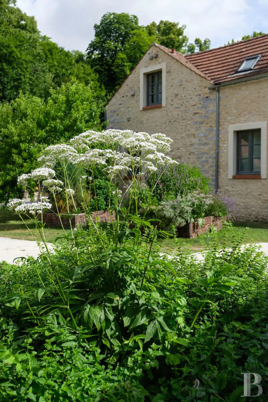 A chateau's former outbuildings transformed into guesthouses  in Courances and the province of Gâtinais - photo  n°28