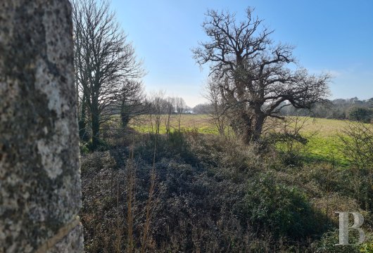 character properties France brittany   - 10