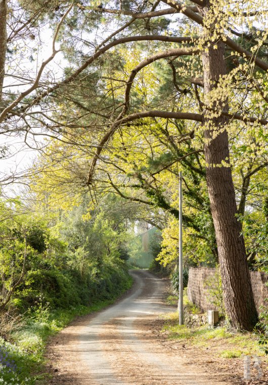 character properties France brittany   - 9