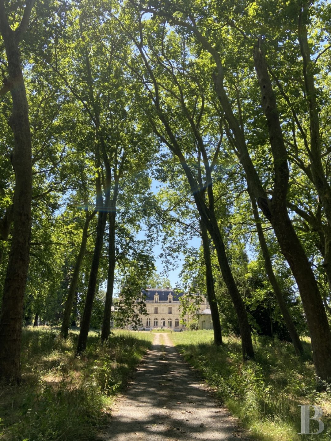 Au milieu de la campagne angevine, un château et son parc inscrits dans les siècles  - photo  n°2
