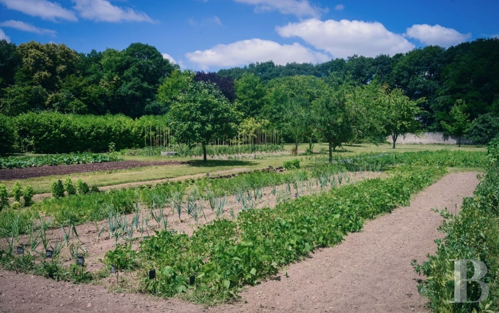 En Bourgogne, dans l’Yonne, un château du 17e siècle ouvert à tous les arts et toutes les cultures - photo  n°6