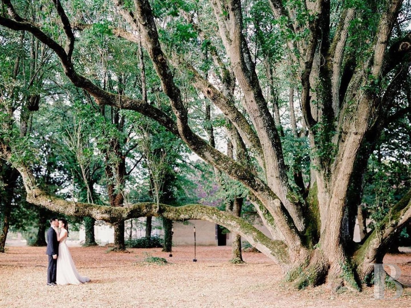 A 17th century chateau open to all arts and cultures in Yonne, Burgundy - photo  n°4