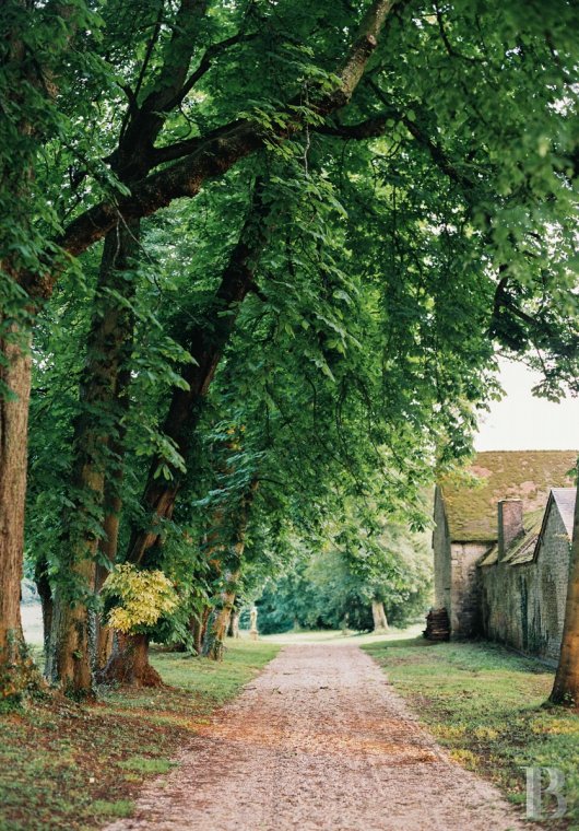 A majestic and classical 18th century chateau and its former grower manager surrounded by its grounds  in the Orne - photo  n°9