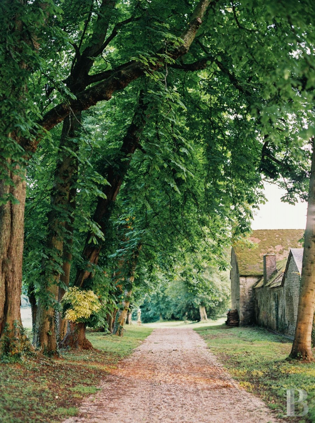 A majestic and classical 18th century chateau and its former grower manager surrounded by its grounds  in the Orne - photo  n°6