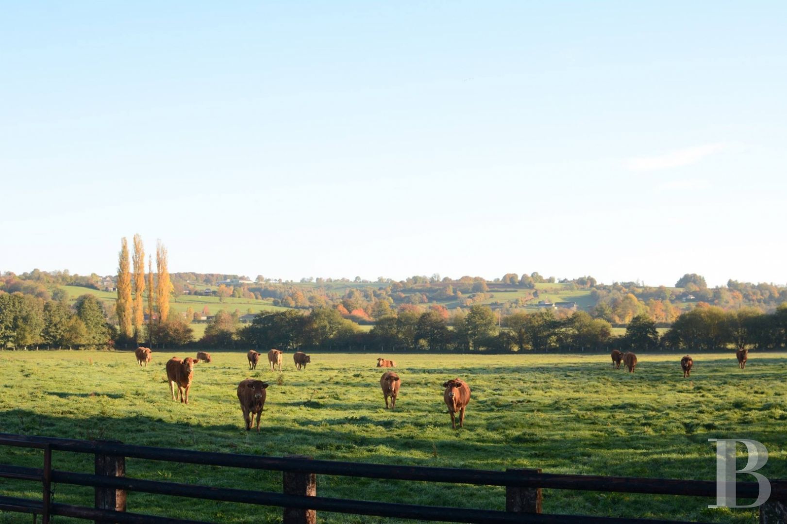 A majestic and classical 18th century chateau and its former grower manager surrounded by its grounds  in the Orne - photo  n°2