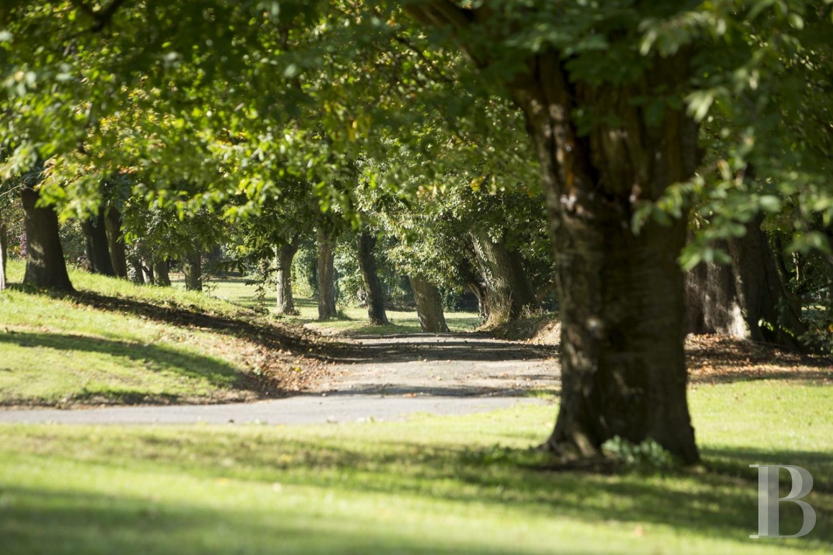 Dans le Val d’Oise, en lisière de la forêt de Montmorency,  une maison familiale en pleine nature - photo  n°2