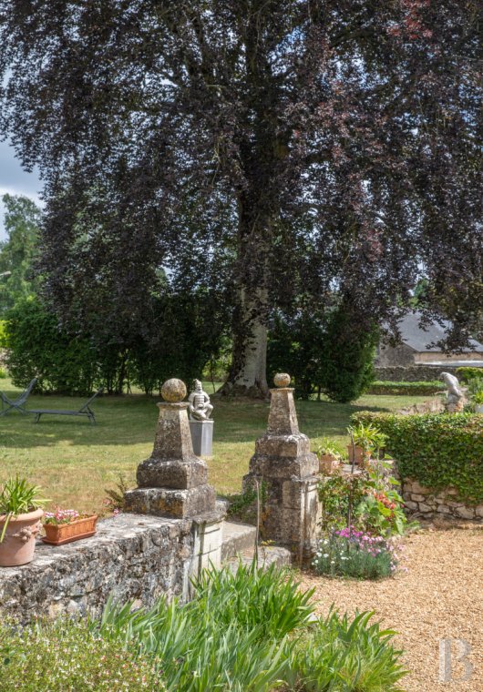 mansion houses for sale France pays de loire   - 17