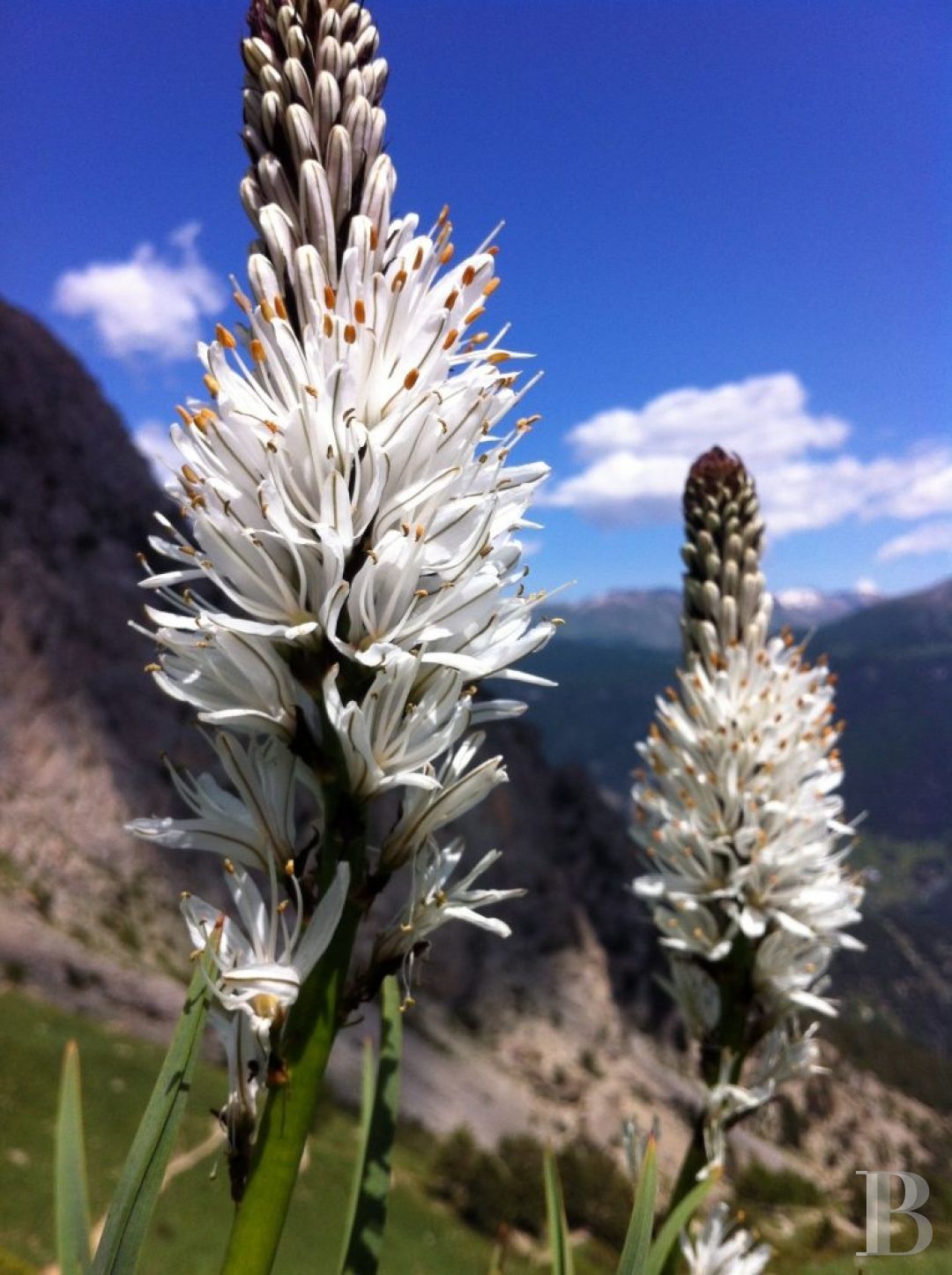 A former priory bathed in sunlight and surrounded by snowy mountain tops,  to the south of Briançon in the Hautes-Alpes - photo  n°23