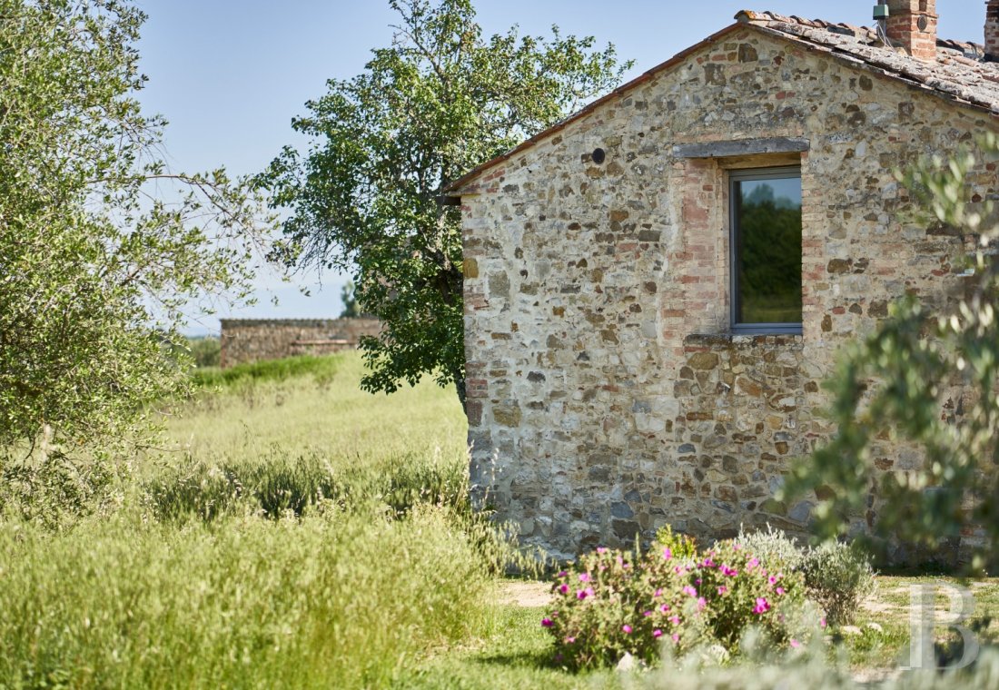 En Toscane, au nord de Sienne,  une ancienne ferme inspirée par le design et transformée en gîtes  - photo  n°3