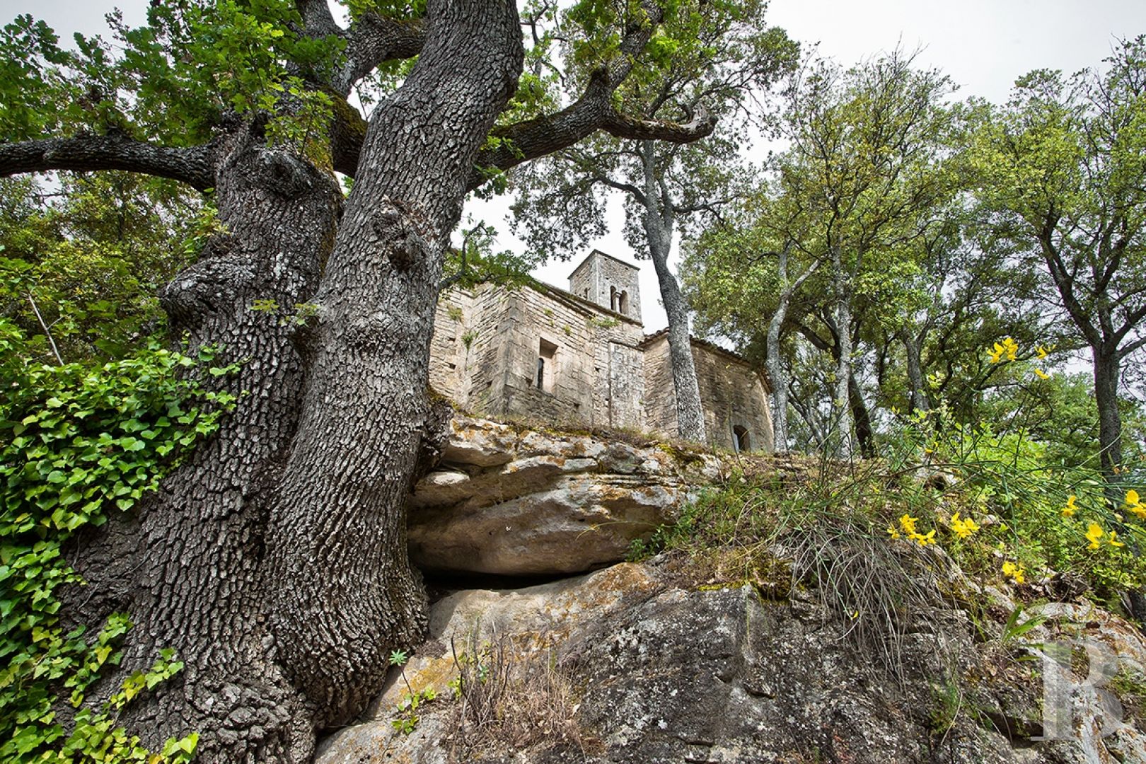 Entre Apt et Lourmarin, au cœur d’une vallée verdoyante et sauvage, un ancien prieuré médiéval ouvert aux voyageurs - photo  n°5