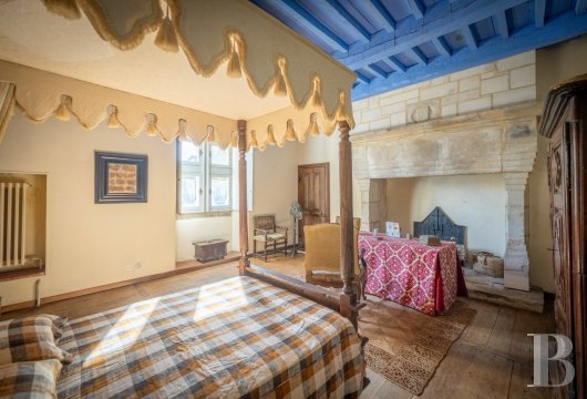 chateaux for sale France midi pyrenees   - 14