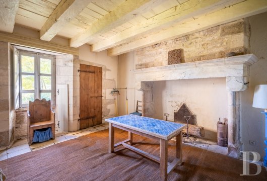 chateaux for sale France midi pyrenees   - 21