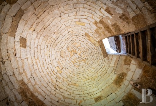 chateaux for sale France midi pyrenees   - 12