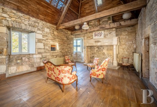 chateaux for sale France midi pyrenees   - 10