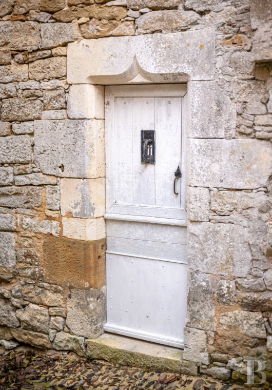 chateaux for sale France midi pyrenees   - 16