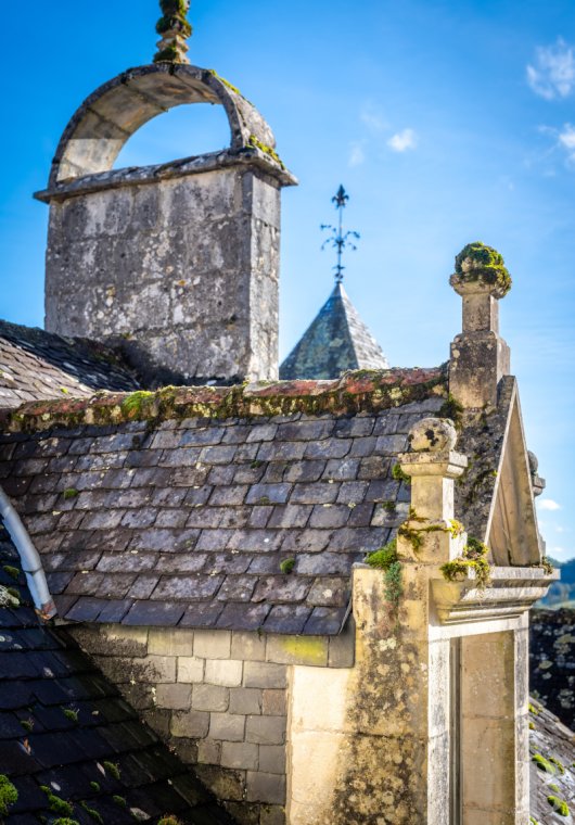 chateaux for sale France midi pyrenees   - 3