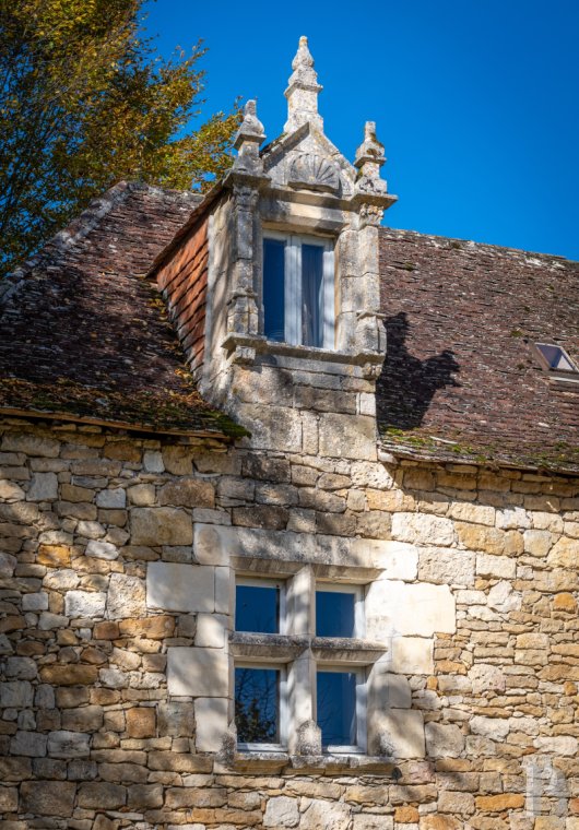 chateaux for sale France midi pyrenees   - 4