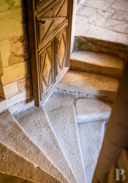 chateaux for sale France midi pyrenees   - 22