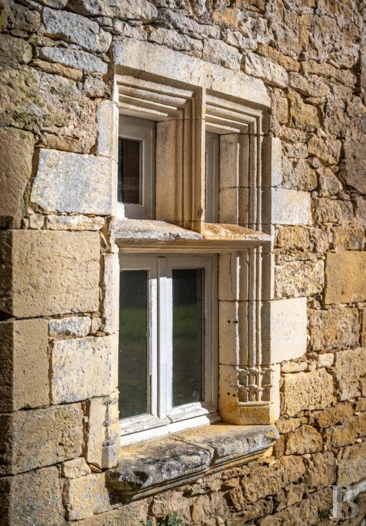 chateaux for sale France midi pyrenees   - 5