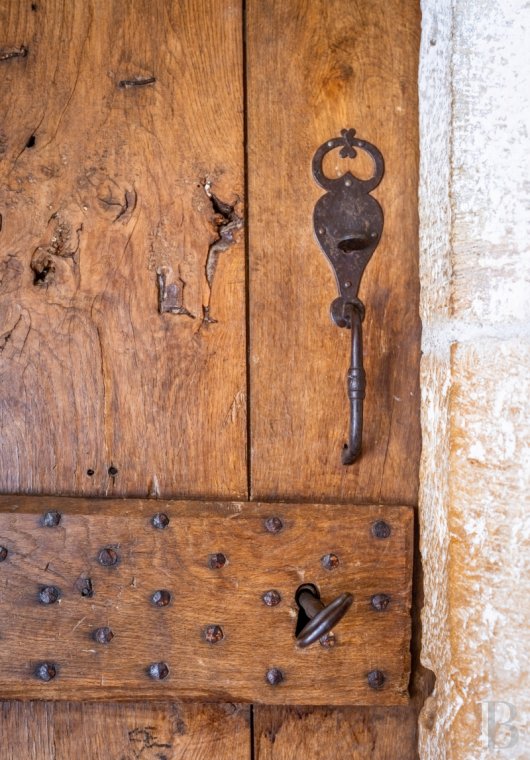 chateaux for sale France midi pyrenees   - 7