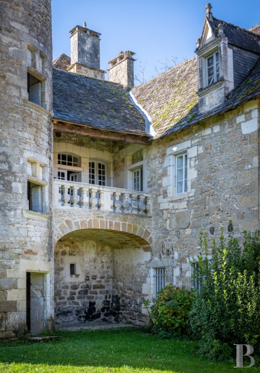 chateaux for sale France midi pyrenees   - 2