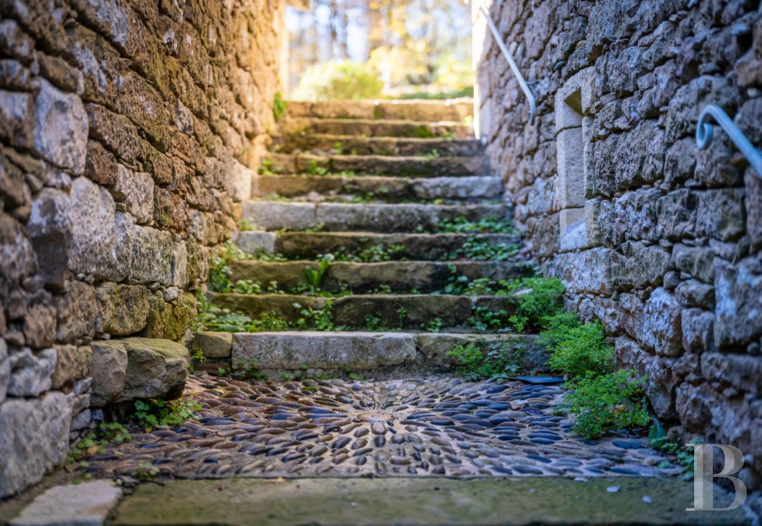 chateaux for sale France midi pyrenees   - 24